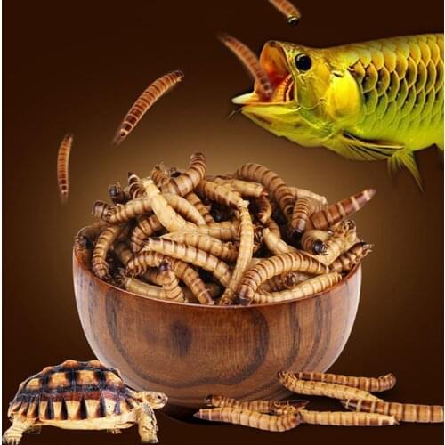 140g Natural Dried Mealworm Food Meal For Feeding Pet Reptile Chickens Wild Garden Bird Aquarium Worm