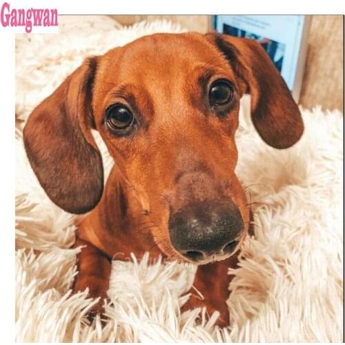 New arrival diamond painting rhinestones full square round drill diy embroidery animal Dachshund Dog cross stitch mosaic pattern