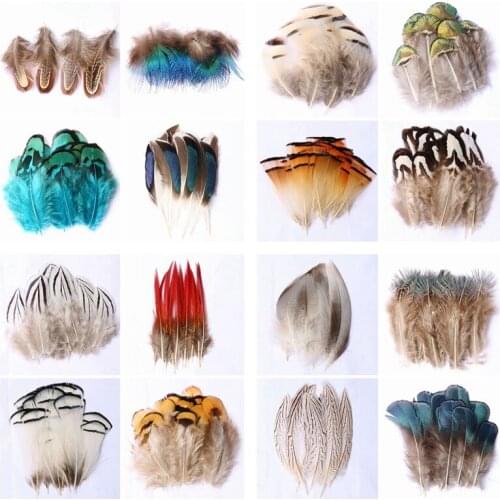 DIY Craft Colors Goose Pheasant Peacock Feather Tail Wing Feather Hat Party Mask Brooch Shoe Cap Decoration Wedding Accessories