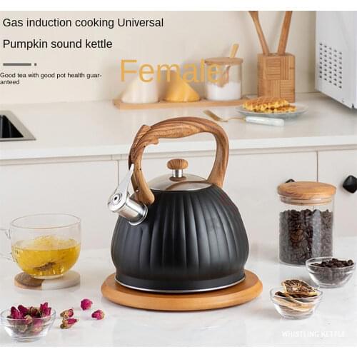 Заварочные чайники PEISI China At AliExpress