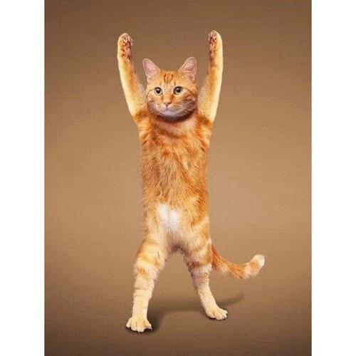 5D Diy Diamond Painting Cross Ctitch Kits Wall Sticker Diamond art Mosaic Embroidery Yoga Dog Cat Pattern Christmas Gift WG2058