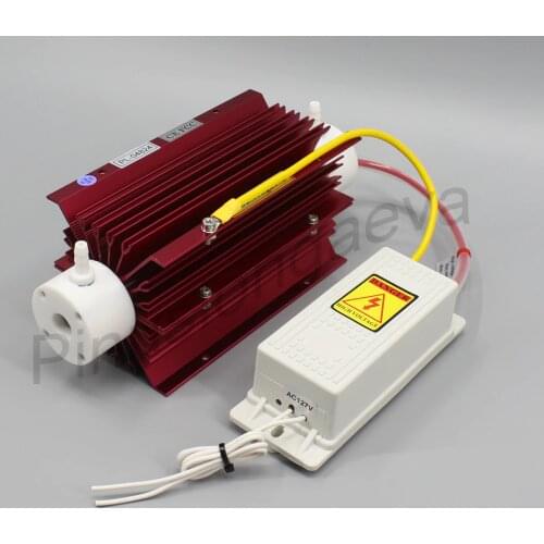 Pinuslongaeva Womens Clothing