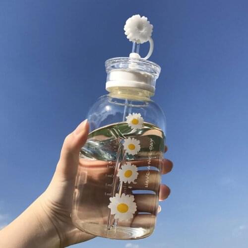 Yangman Glass Water Bottles