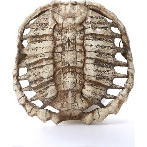 Resin Oracle tortoise shell skeleton sketch practice classroom teaching accessories Animal skull model