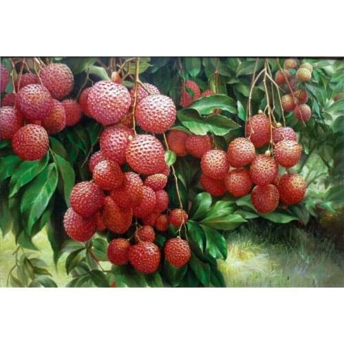 Free shipping realist still life oil painting photography litchi tree scenery canvas printings on canvas decoration picture