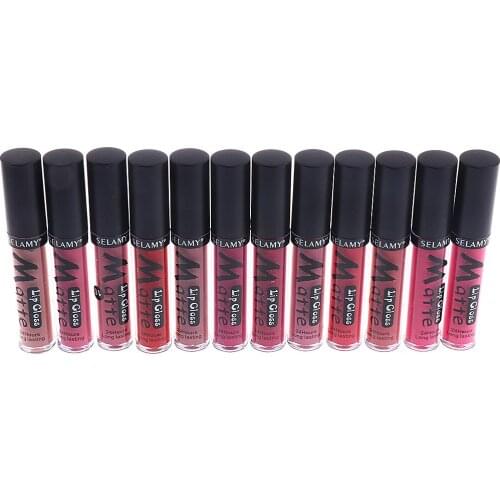 Natural 12 Colors Moisturizing long-lasting Lipstick Lip Makeup Lip Gloss Cosmetic Matte Liquid Lipstick Lot for Women Girls