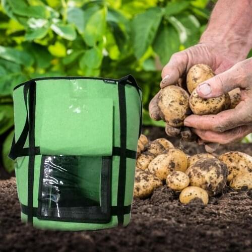 Potato Grow Bag Transparent Plant Tomato Carrot Onion Growing Bag Garden Jardin Flower Seedling Grow Box Gardening