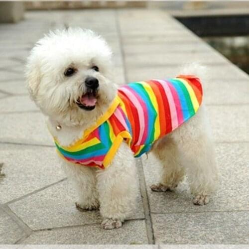 Dog Clothes Spring, Summer and Autumn Clothes, Colorful Teddy Vest, Cat Supplies Clothes for Pets Cheap Clothes Dog Fashion
