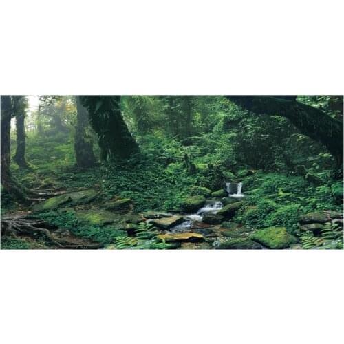 PVC Adhesive Riverway Green Woods Aquarium Background Poster Sticker Fish Tank Decoration