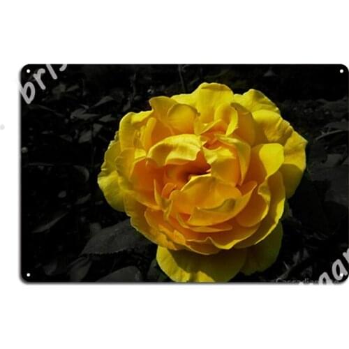 Rose With Black &Amp; White Background. Metal Signs Plaques pub Garage Wall pub Vintage Tin sign Posters