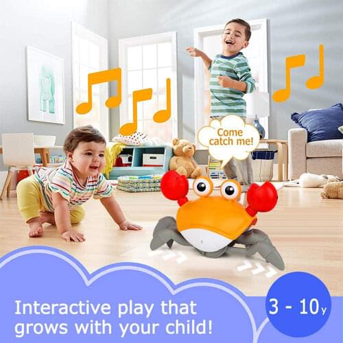 LSRC Interactive Toys