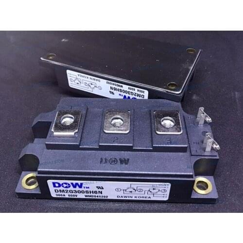 DM2G300SH6N FREE SHIPPING NEW POWER MODULE
