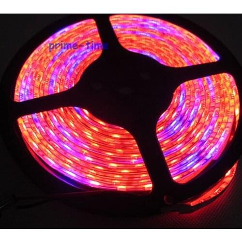 5M Red Blue 7:1 Mix Color Plant Grow LED Strip 5050 SMD 60LED/M 300LEDs DC12V IP65 Epoxy Resin Waterproof Flexible LED Strip