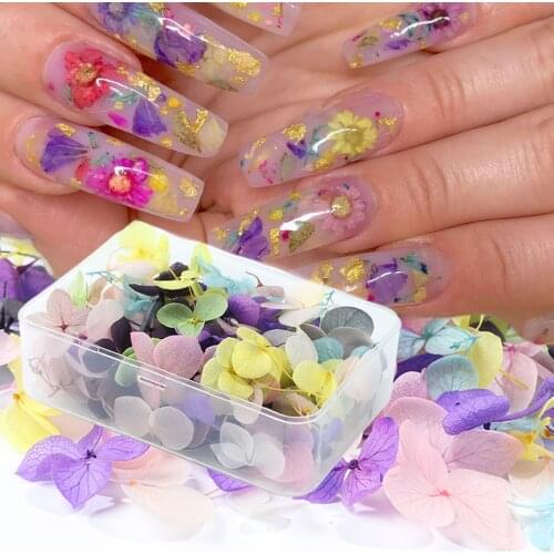 Dried Flowers Nail Art Decorations Natural Florals Stickers Decals Jewelry DIY Acrylic UV Gel Polish Manicure Accessories TR1505