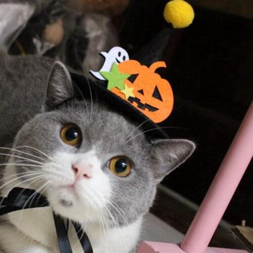 Halloween Party Pet Pumpkin Headwear Magic Cat hat