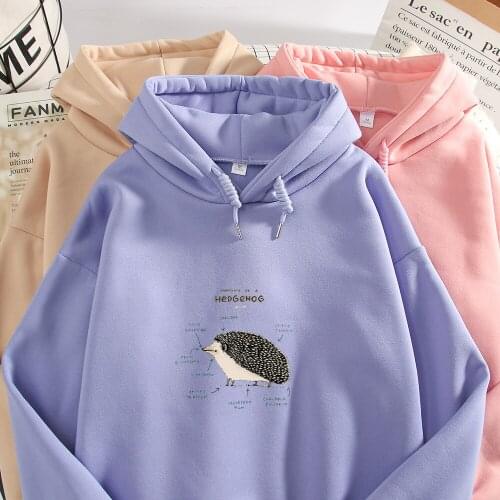 Hedgehog Animal Print Hoodie Oversized Harajuku Sweatshirt Vintage Graphic Plus Size Sweetshirt for Girls Winter Women Kpop Tops