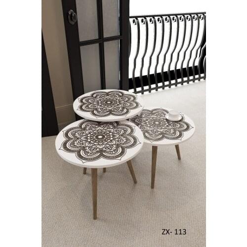 Efsun Zigon Coffee Table Zx- 113