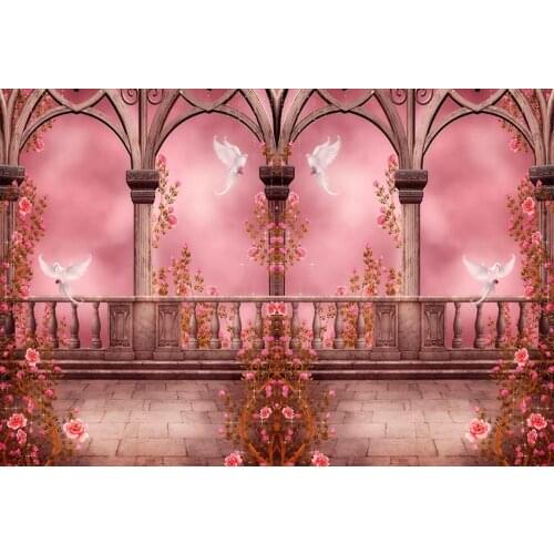 Pink God palace photo background vinyl fairyland Photography backdrop for girls photo Studio Video accessories photophone lv-654