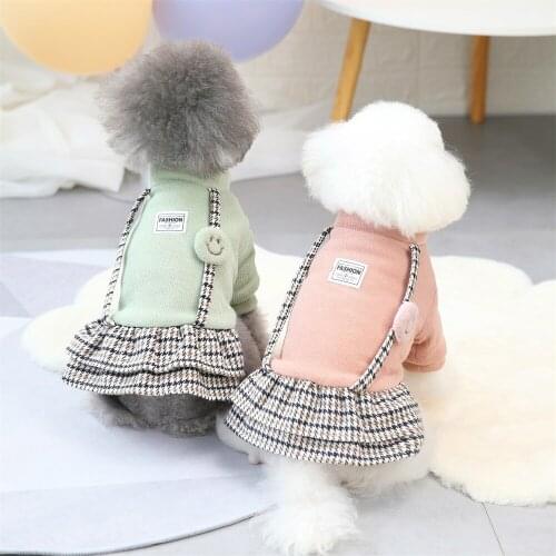 Pet Warm Dress Dog Winter Thickness Princess Skirt Dress For Small Dog Pet Clothes