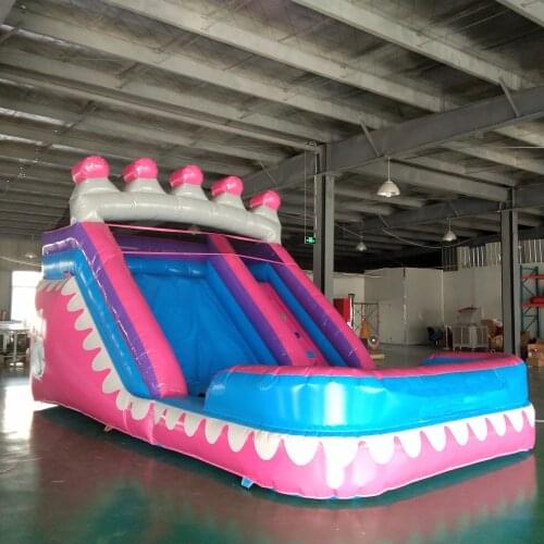 Cartoon Sofia the First Topic Pink Bouncy Castle Inflatable Bounce House With Slide Pool for kids