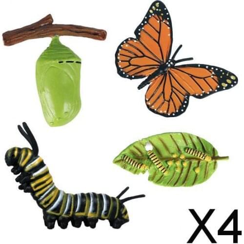 4xRealistic Nature Butterfly Growth Child Education Learning Teaching Toys