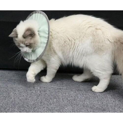 Zerodis Collars For Cats