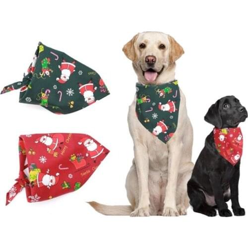 Dahomemon Jackets For Dogs