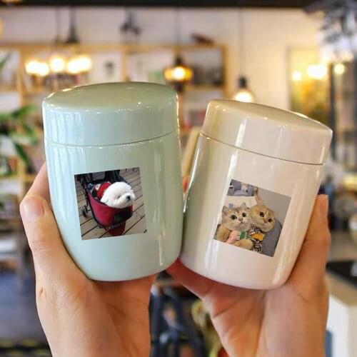 48pcs/set Wholesale Cute Cat Dog Stickers Waterproof Sticker For Skateboard Laptop Luggage Bicycle Decal Kids Gifts