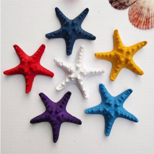 Mediterranean Wind 1pc Starfish Natural Mini Beach Sea Stars for Wedding Seashell Crafts Hotel Decoration
