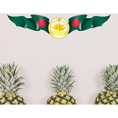 Bangladesh National Emblem Country Symbol Mark Pattern Removable Wall Sticker Art Decals Mural DIY Wallpaper for Room Decal
