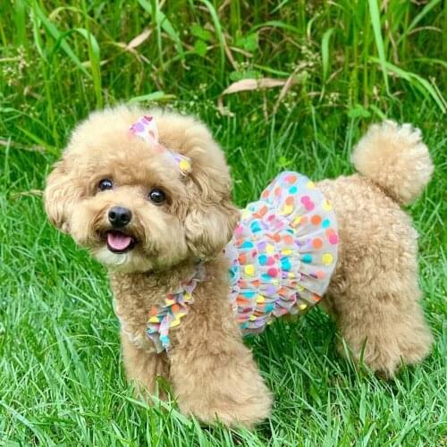 Spring and summer new color wave point sling bichon teddy dog skirt bow short breathable pet clothes