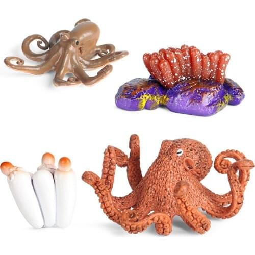 Simulation Animals Wildlife Sea Life Octopus Growth Cycle Action Figures Model Educational Cognitive Collection Cute Kids Toys