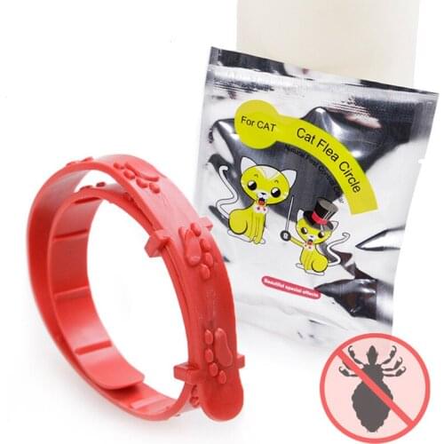 Fashion Beautiful Cat Anti-flea Mite Collar Non-flea Beauty Clean Kitty Remedy Neck Adjustable Strap Quadruple Effect Pet Collar