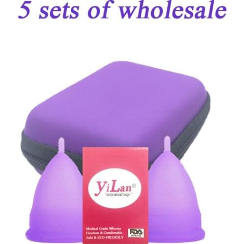 5 Sets Feminine Hygiene Menstrual Cup Medical Silicone Menstrual Sterilizer Female Sanitize Menstrual Cup Menstrual Collector
