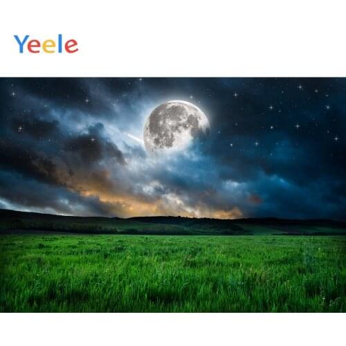 Landscape Background Summer Wheat Field Cloudy Blue Sky natural scenery Photography Backdrops Photocall Photo Studio