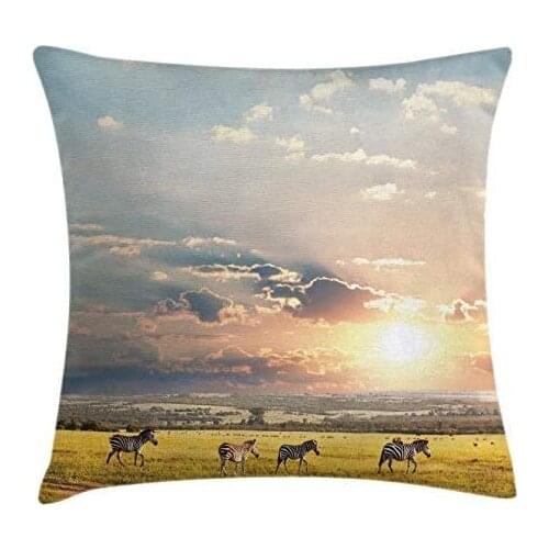 Pooizsdzzz Safari Throw Pillow Cushion Cover, Zebras Africa Etic Wildnd Natural Diant Fore Morg View Scenic Picture, Decorative