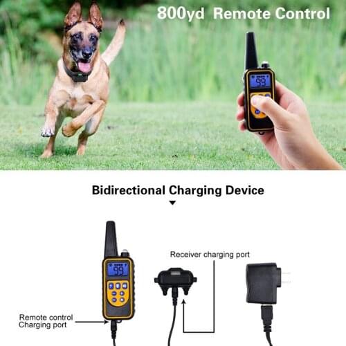 Rechargeable Waterproof Electronic Dog Training Collar Stop Barking LCD Display 800m Remote Electronic Shock Training Collars
