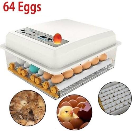 32 Eggs /56 Eggs Automatic Egg Incubator Farm Hatchery Machine Digital for Farm Chicken Goose Quail Brooder Egg Incubator Egg
