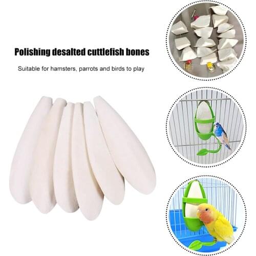 Cuttlefish Bones Pet Parrot Perch Hamster Hanging Bell Calcium Supplements Molars Chewing Toys Bird Food Parakeet Cage Decor