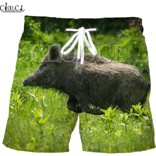 CLOOCL New Wild Animal Wild Boar Men Beach Shorts 3D Print Fashionable 2021 Summer Harajuku Style Sport Leisure