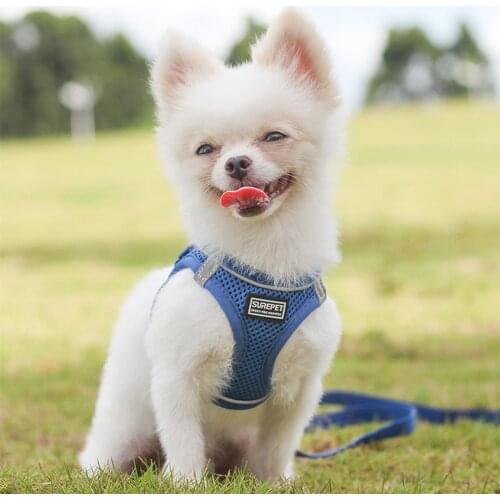 Reflective Velcro Safety Pet Dog Nylon Mesh Harness And Leash Set For Small Medium Dogs Cat Harnesses Vest Puppy Chest Strap