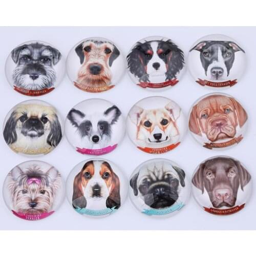 Mixed Dog Head Photo Round scrapbooking Glass Cabochon 20mm 25mm 30mm Diy Handmade Jewelry Findings For Keyring Pendant