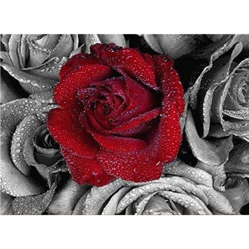 Full Square/Round 5D DIY Diamond Painting Rose Flowers Pictures 3D Embroidery Mosaic Rhinestones Art Stickers Room Decor DF467