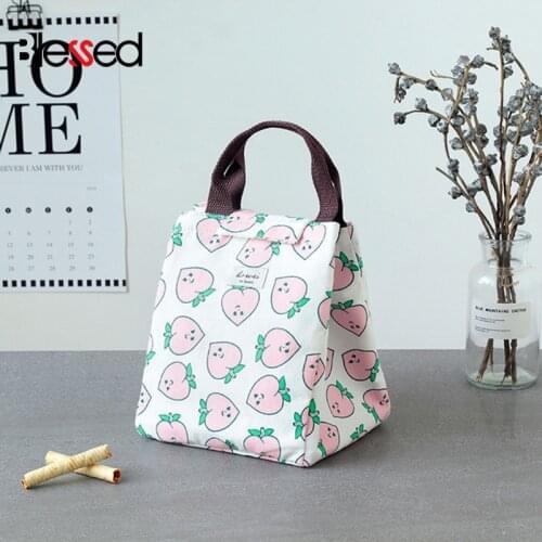 Cute Cloth Lunch Box Insulated Bag Waterproof Oxford Cloth Lunch Bag with Zipper Lunch Box Bag Portable Picnic Travel Bags