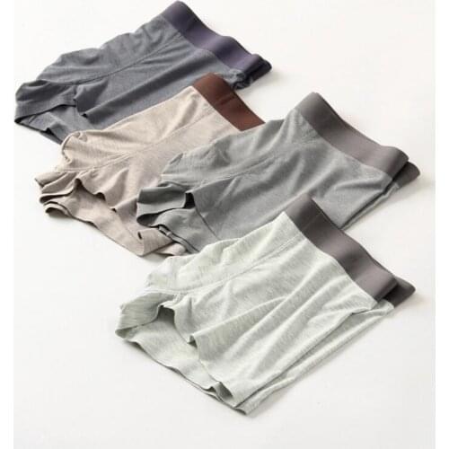 2020 Underwear Panties Mens Underwear man Boxers Cotton Model Boxers Men Boxers 4Pcs/lot