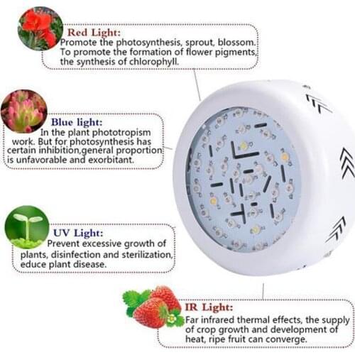 WEGA Goods For Sports And Recreation