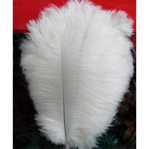 12 Colors Avaliable 8"-10"/20-25Cm Ostrich Feathers Plumage Flapper Dresses for Wedding Party Millinery Decoration 100Pcs/Lot