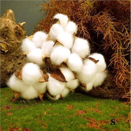 6PCS/Pack Natural Dried Cotton Flower Heads simulation flower DIY wedding decoration for home party office