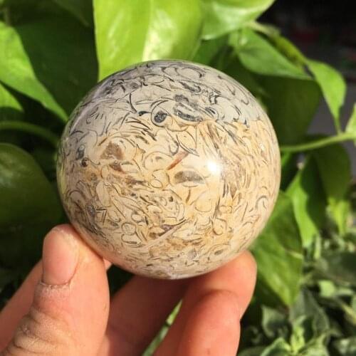 Dinosaur bones Quartz Crystal ball Natural fossil gemstone Magic sphere reiki healing