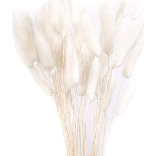 Dried Flower Bouquet Artificial Lagurus Ovatus Decoration for Home Hotel Wedding E7